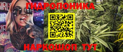 индика Конаково