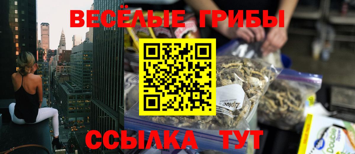 Псилоцибиновые грибы Psilocybe Кизляр