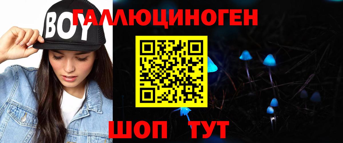 Кизляр  Псилоцибиновые грибы MAGIC MUSHROOMS  Вход с VPN 